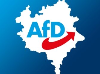 Was können Sie tun, um die AfD regional zu unterstützen?