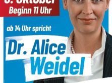 AfD-Bundessprecherin Alice Weidel kommt nach Mödlareuth!